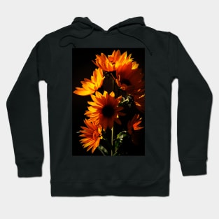 Maximilian Sunflowers Hoodie